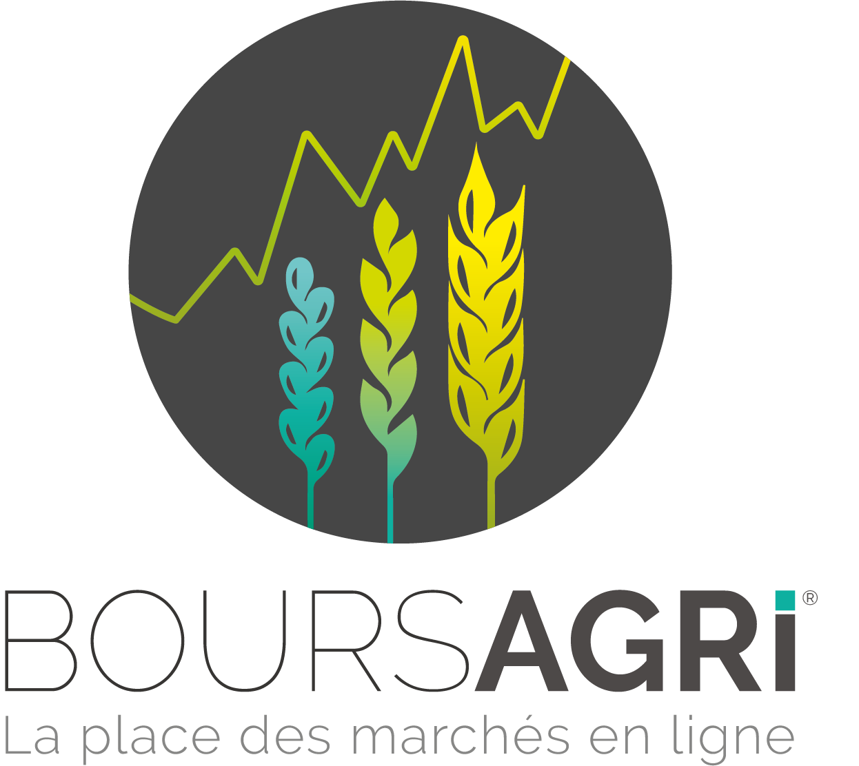 Logo boursagri